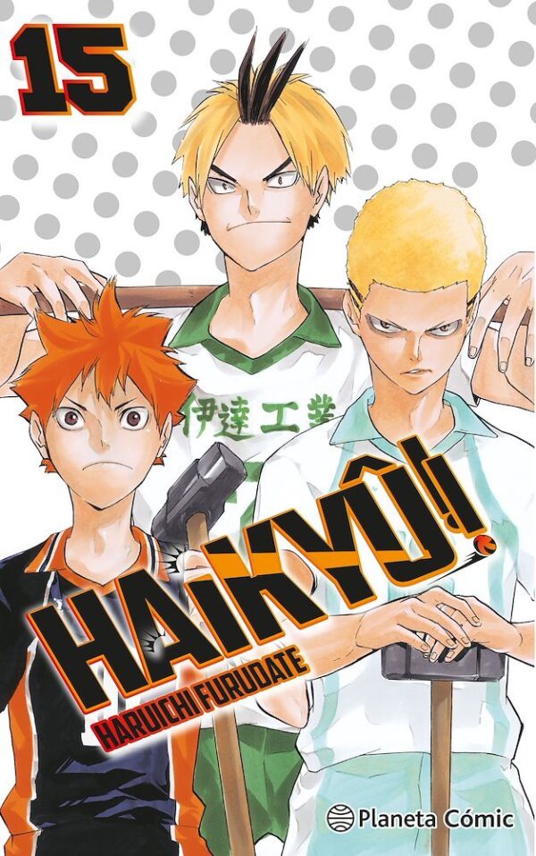 Haikyû!! 15 (De 45)