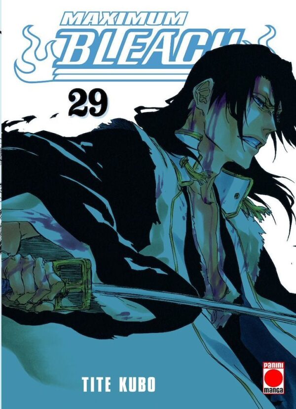 Bleach Maximum 29 (De 37)